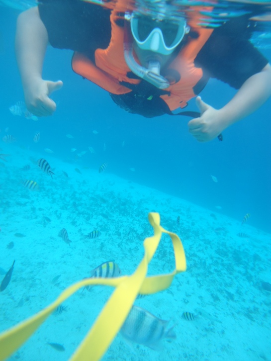 Whoever started snorkeling activity is a freakin' genius. It's one of the best things to do!