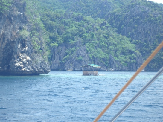 The cute little hut from afar signals boatmen where the coral garden is located at. Notice the change of color of the water / sea. The whiter area is the coral and reefs area, which is more shallow than the deep green area.